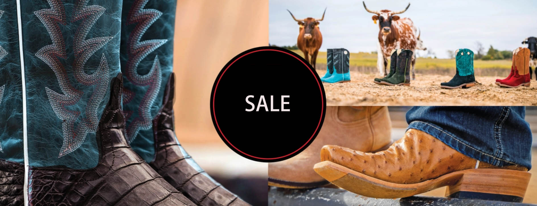 Shoes Series Shop -Shoes Series Shop DFGDG